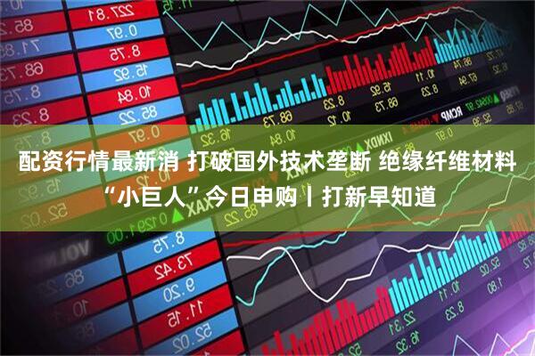 配资行情最新消 打破国外技术垄断 绝缘纤维材料“小巨人”今日申购丨打新早知道