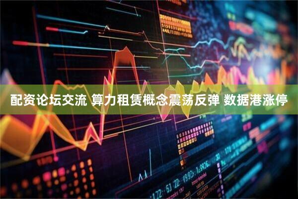 配资论坛交流 算力租赁概念震荡反弹 数据港涨停